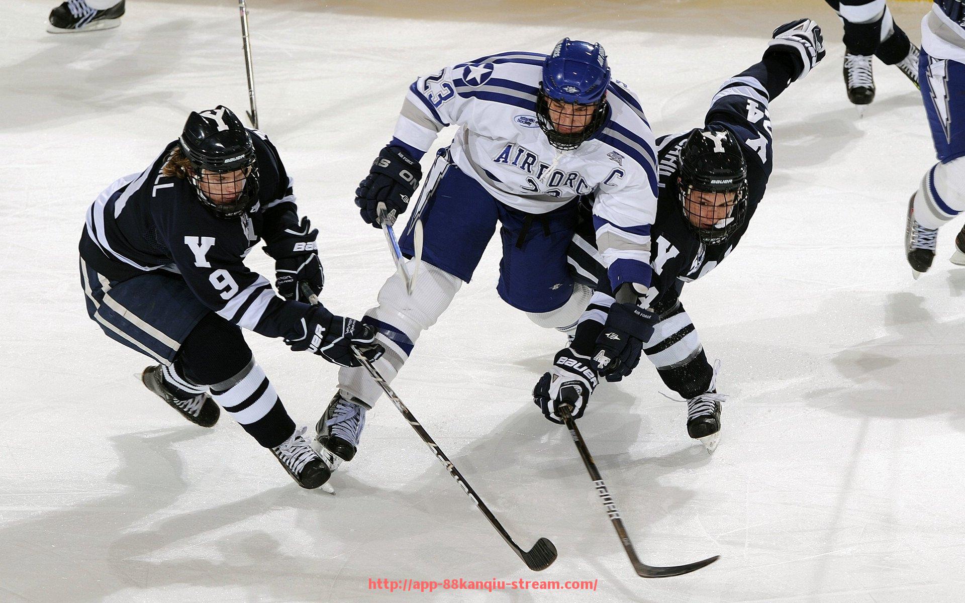 88看球网-火箭队当前赛季战绩排名与胜率统计一览